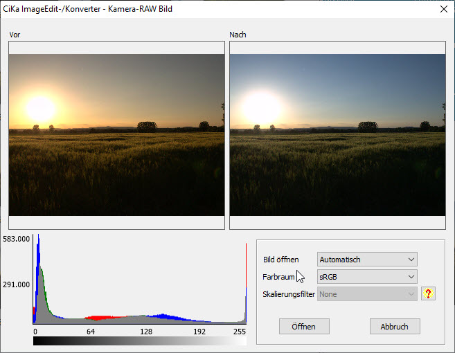 RAW Bild Automatisch